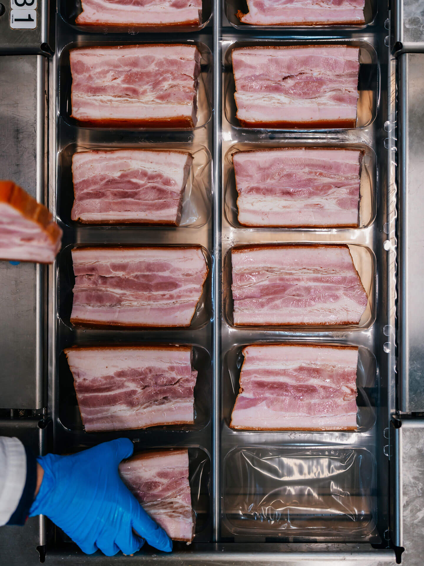 Maxum_food_processing_image_1