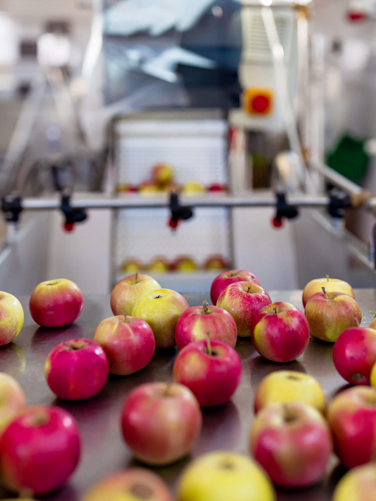 food_Processing_image_2